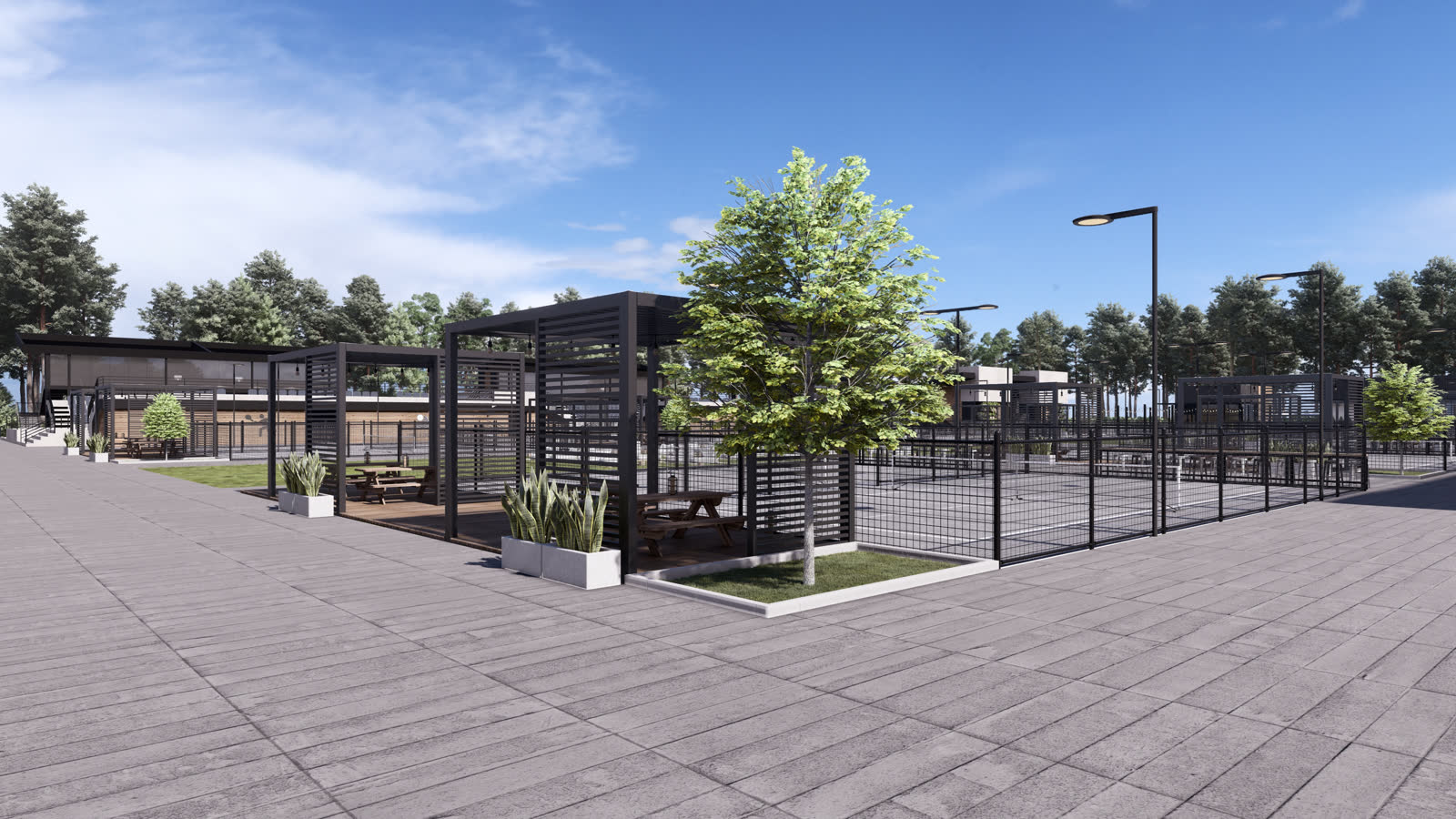 The pergola with a tree planted through it, the fenced courts either side
